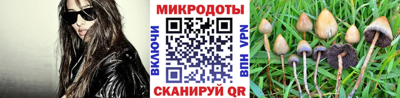 Псилоцибиновые грибы Psilocybine cubensis  Купить закладки  Шебекино 