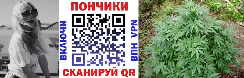 Конопля White Widow  Купить  Шебекино 